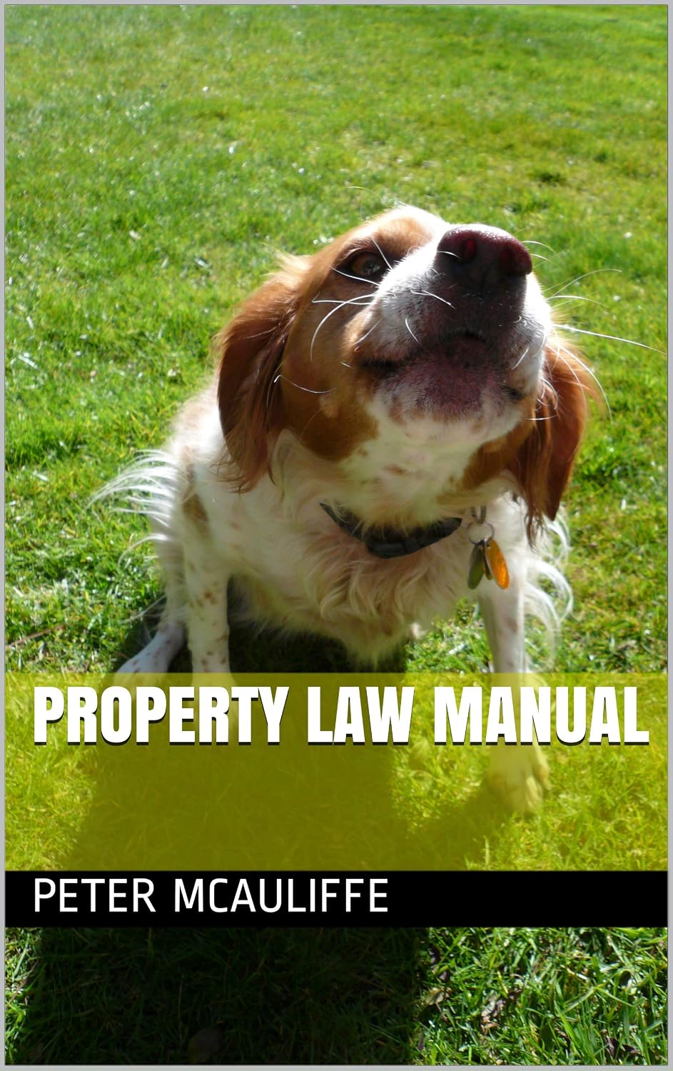 Property Law Manual (English Edition) baixar livro de graça