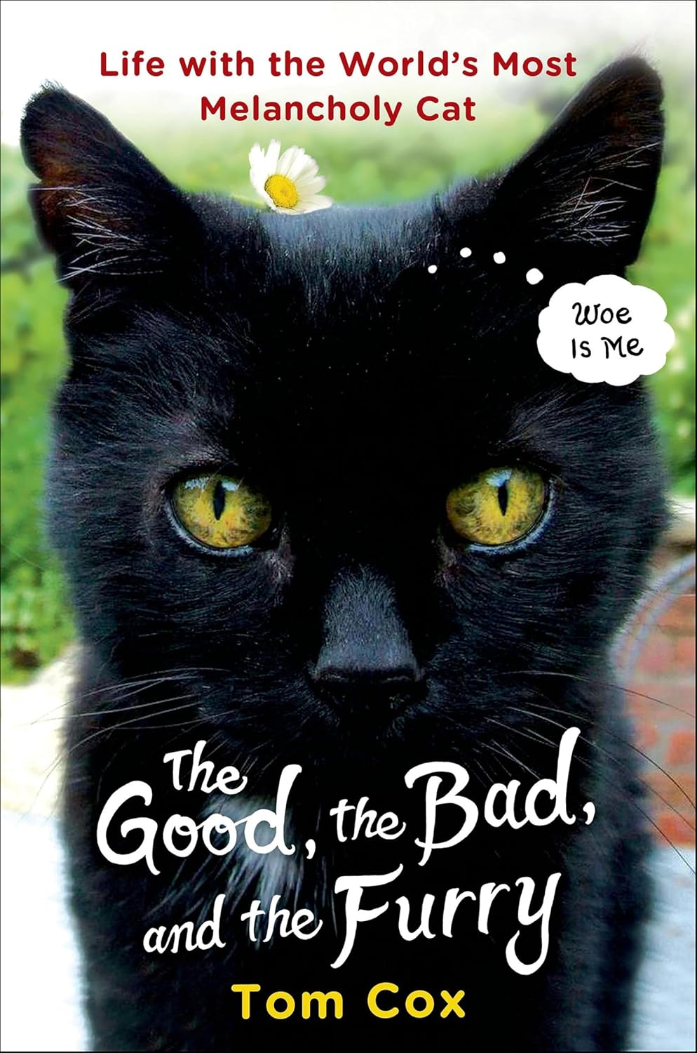The Good, the Bad, and the Furry: Life with the World's Most Melancholy Cat (English Edition) baixar livro de graça
