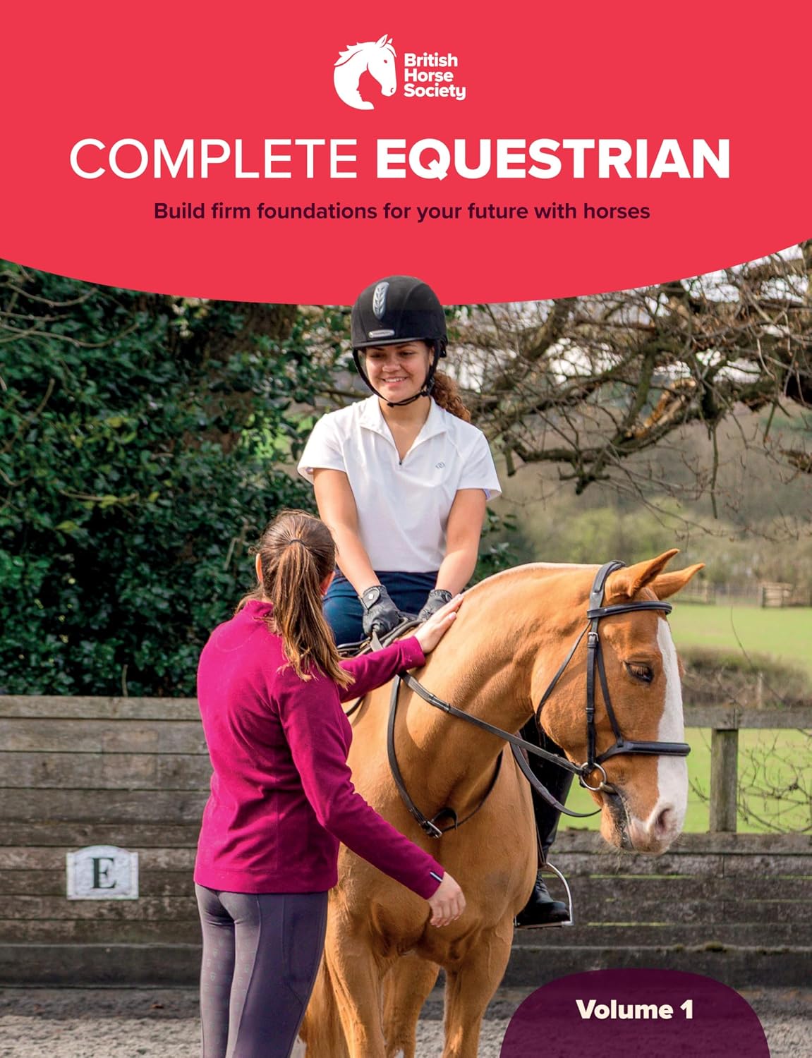 BHS Complete Equestrian: Volume 1: Build firm foundations for your future with horses (English Edition) baixar o livro de graça