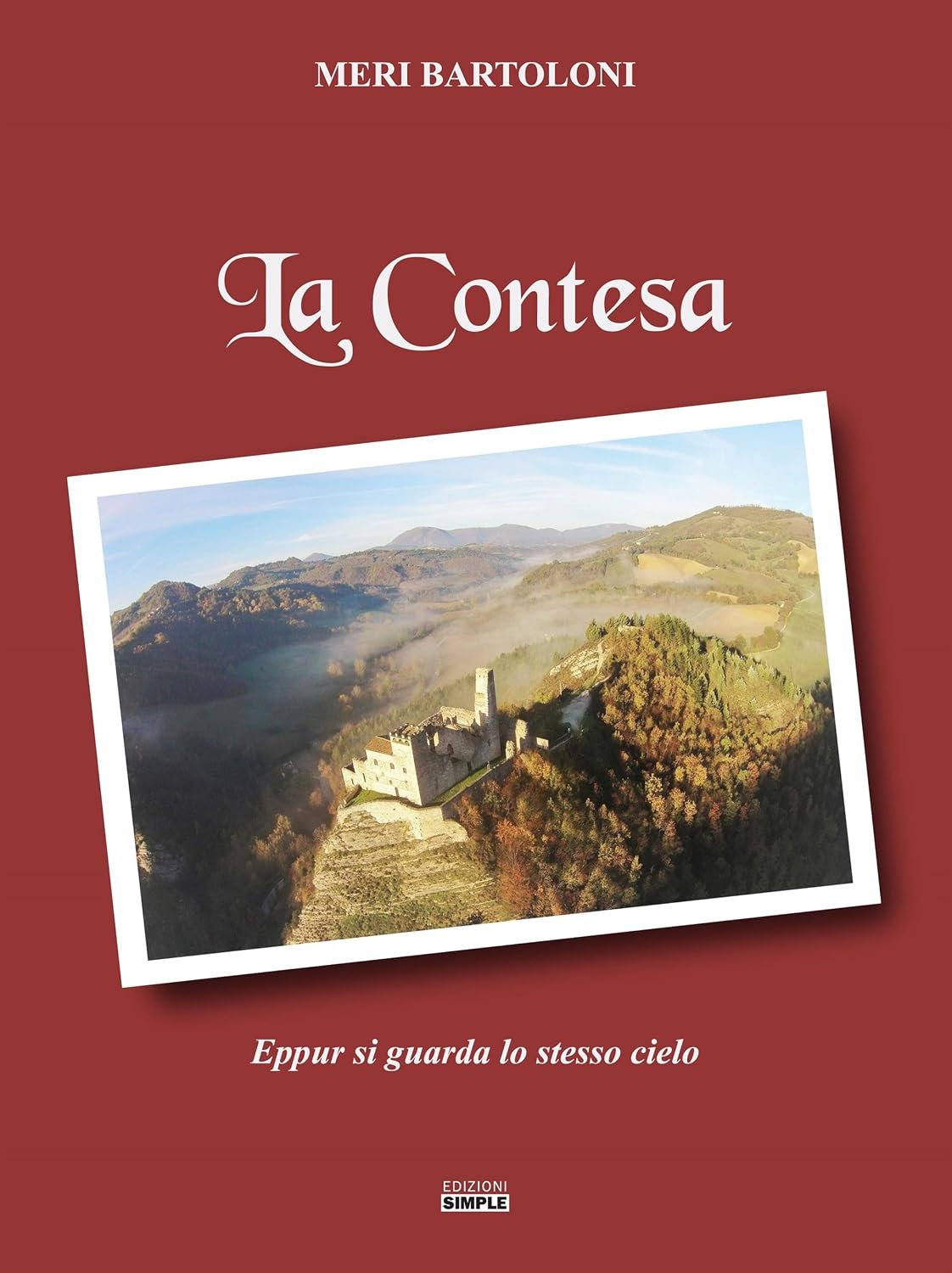 ler totalmente La Contesa: Eppur si guarda lo stesso cielo (Italian Edition)