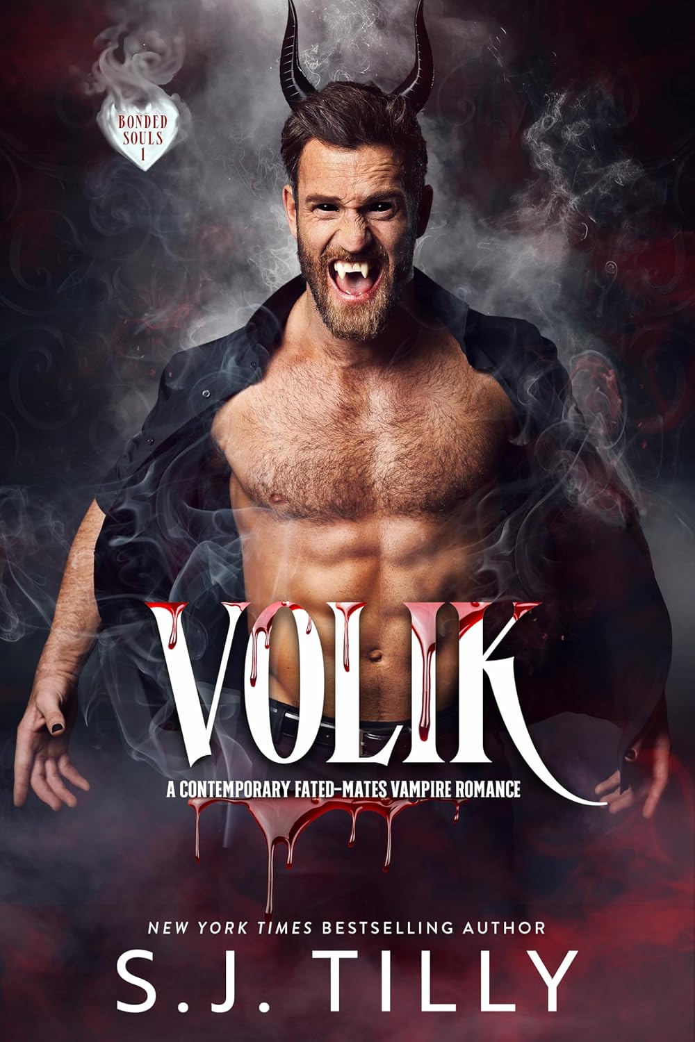 VOLIK: Bonded Souls Book One (English Edition) baixar o livro de graça