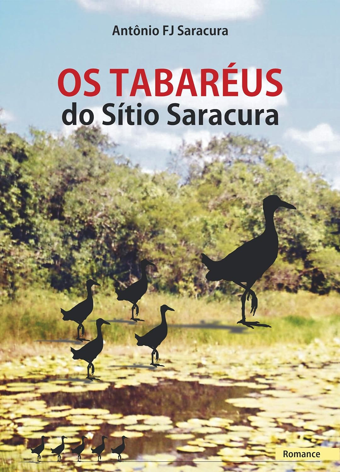 OS TABARÉUS DO SÍTIO SARACURA baixar livro de graça