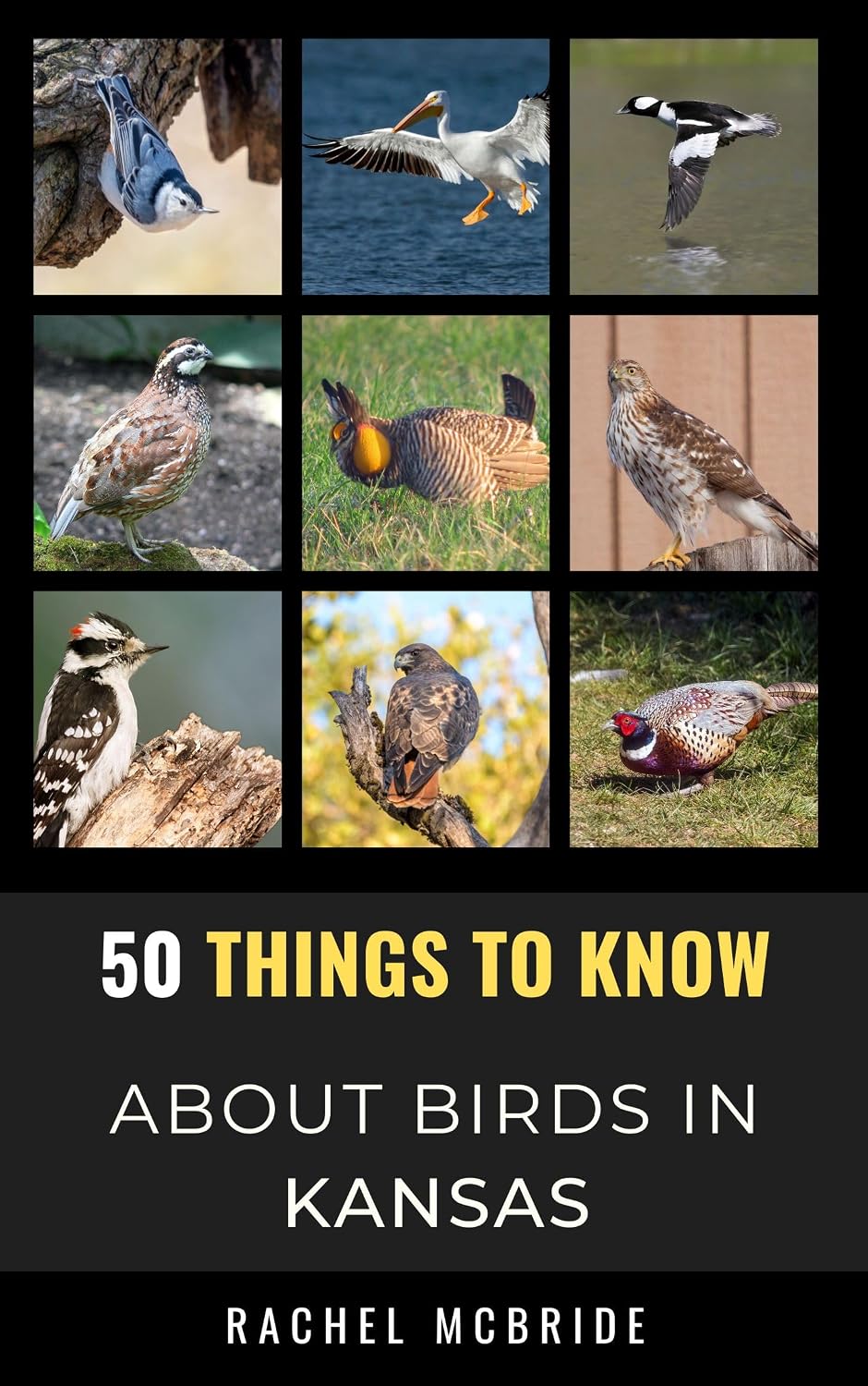 50 Things to Know About Birds in Kansas: Birdwatching Guide, Bird Identification, Local Species, & Backyard Birds (50 Things to Know About Birds & Birdwatching:... and regional bird books) (English Edition) baixar livro de graça