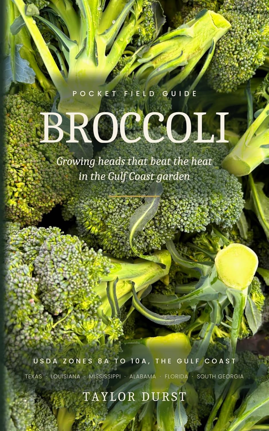 ler totalmente Broccoli: Growing Heads That Beat the Heat in the Gulf Coast Garden