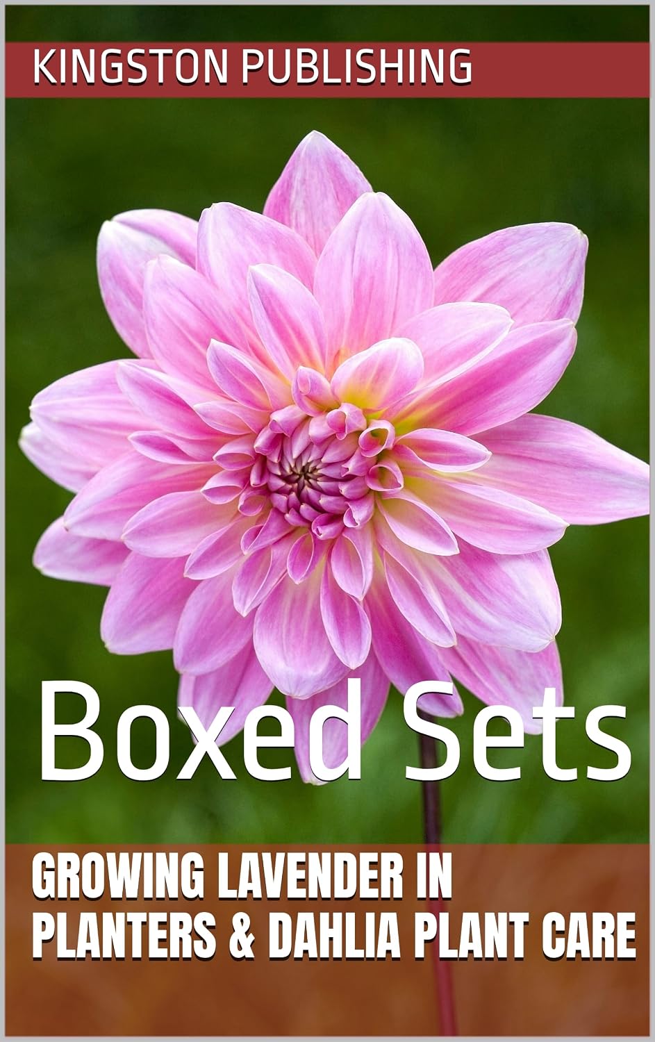 Growing Lavender in Planters & Dahlia Plant Care: Boxed Sets (Gardening With Planters) (English Edition) baixar o livro de graça