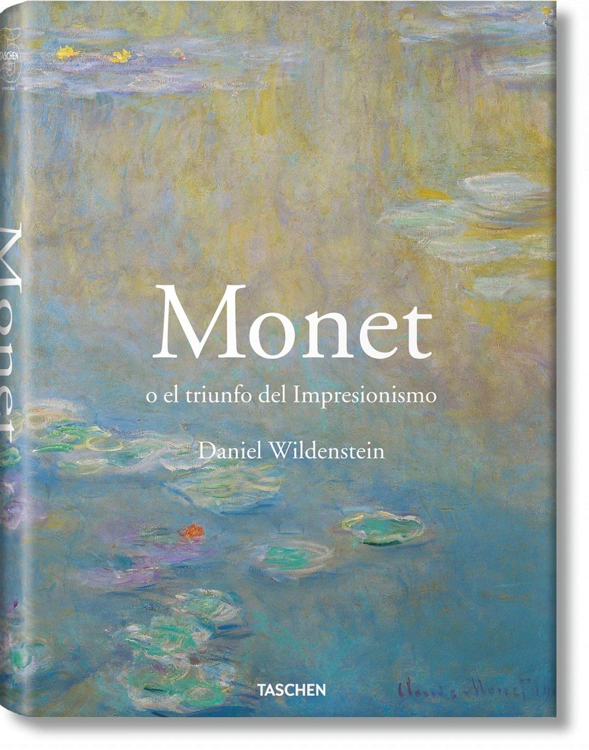 Monet ou o Triunfo do Impressionismo baixar livro de graça