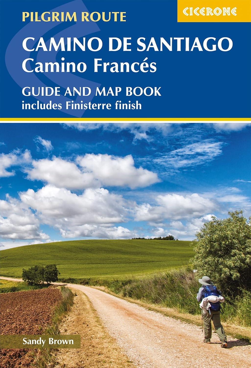 ler totalmente Camino de Santiago: Camino Frances: Guide and map book - includes Finisterre finish (Cicerone Guides) (English Edition)