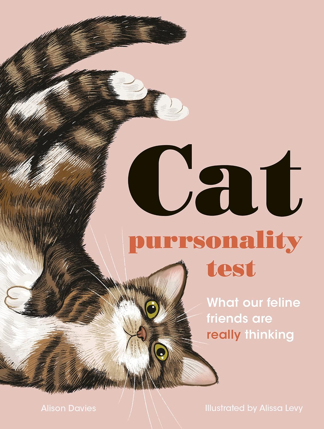 ler totalmente The Cat Purrsonality Test: What Our Feline Friends Are Really Thinking (English Edition)