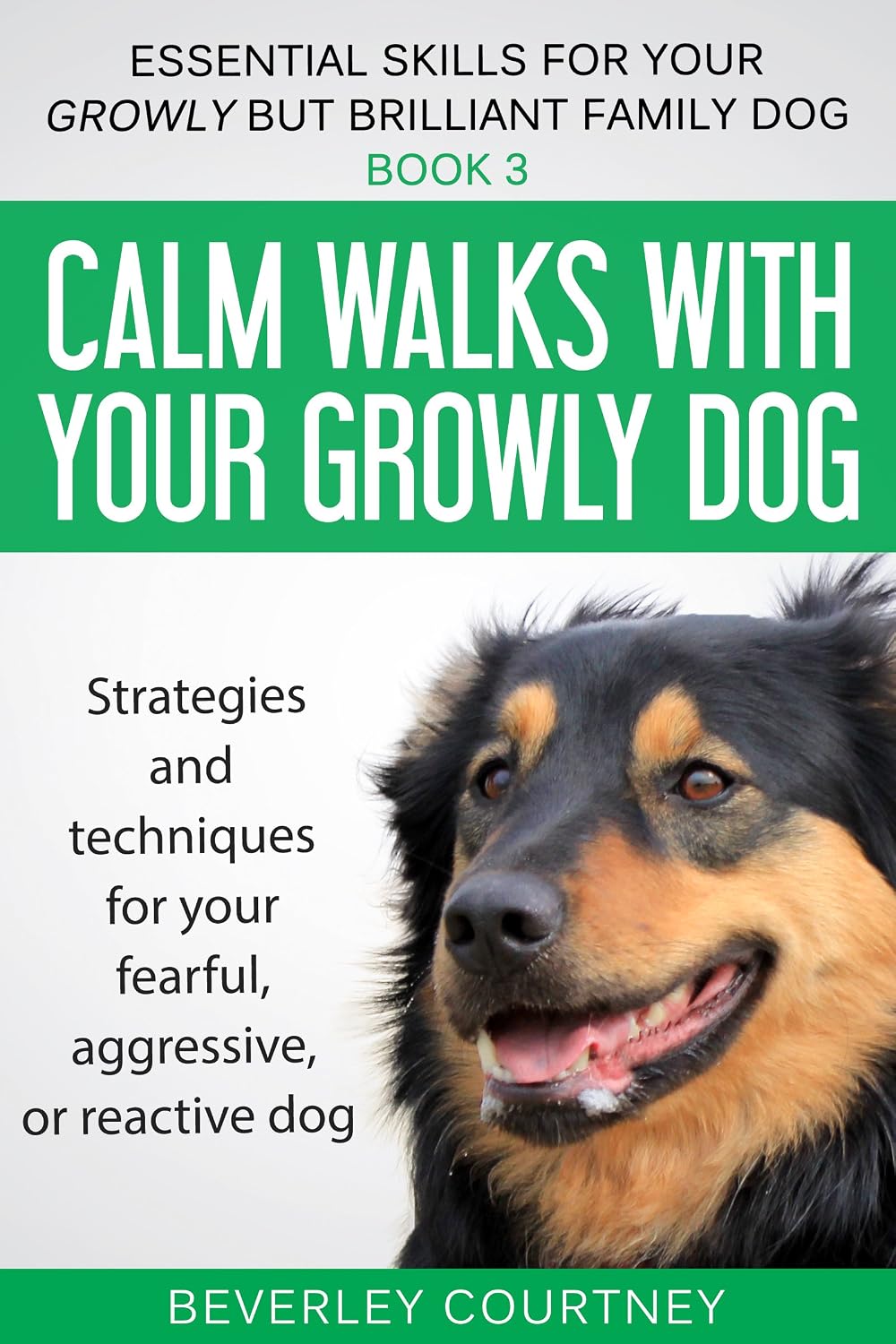 ler totalmente Calm walks with your Growly Dog: Book 3 Strategies and techniques for your fearful, aggressive, or reactive dog (Essential Skills for your Growly but Brilliant Family Dog) (English Edition)