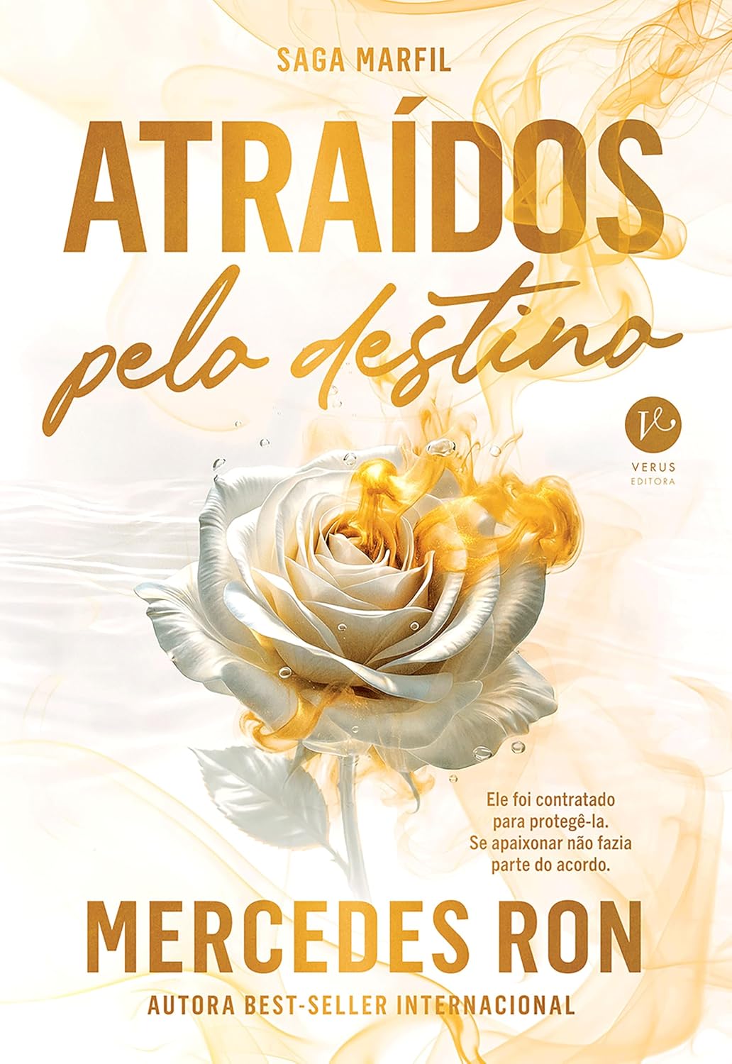 Atraídos pelo destino (Vol. 1 Saga Marfil) baixar o livro de graça