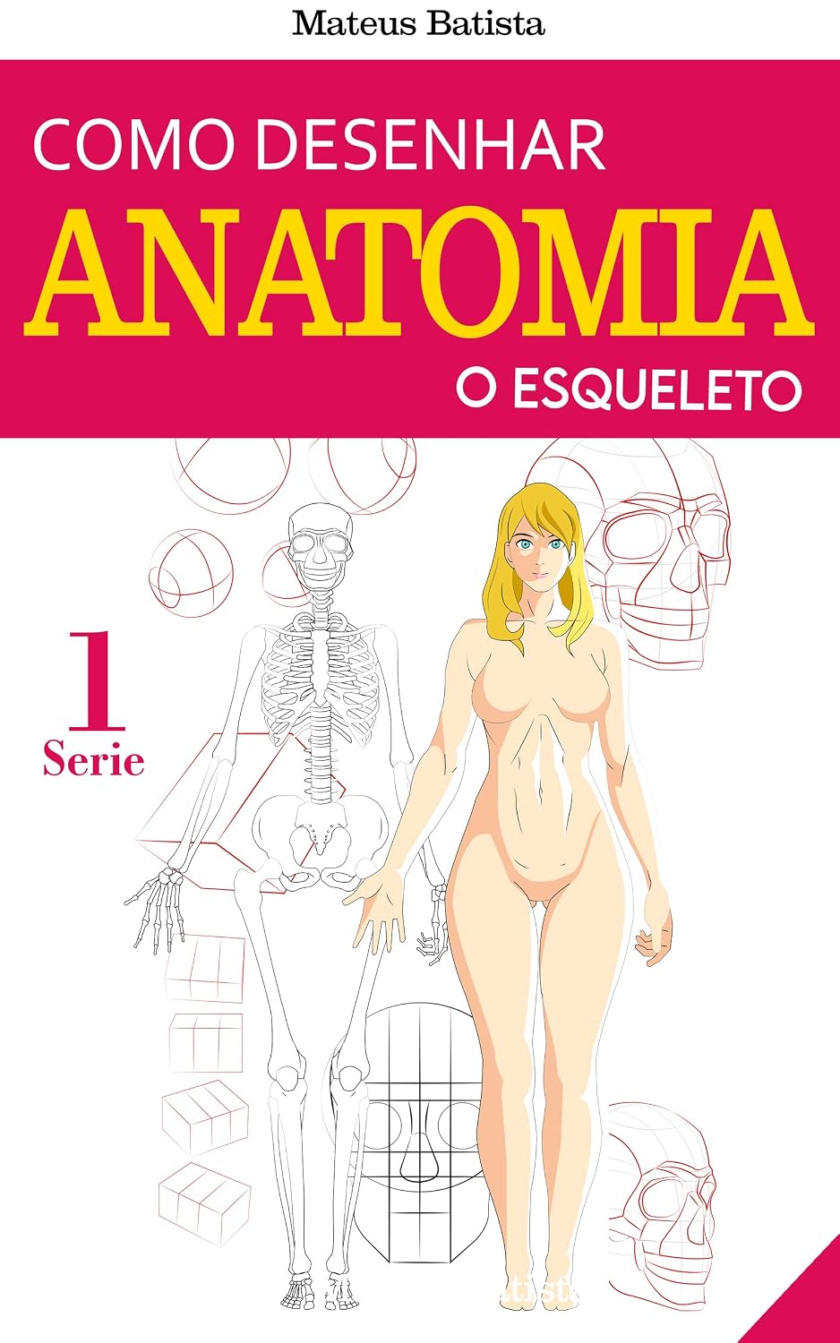 Como Desenhar Anatomia: O Esqueleto