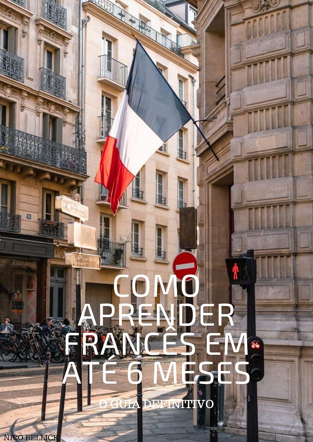 COMO APRENDER FRANCÊS EM ATÉ 6 MESES: O guia definitivo baixar livro de graça
