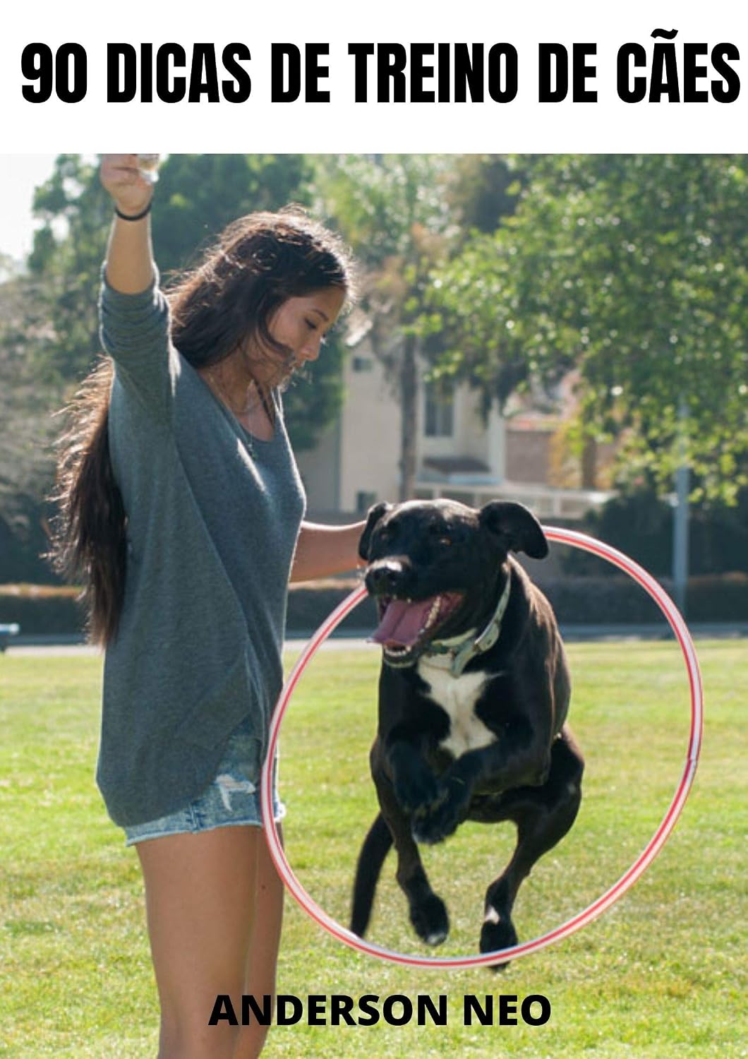 ler totalmente 90 DICAS de treino de cães