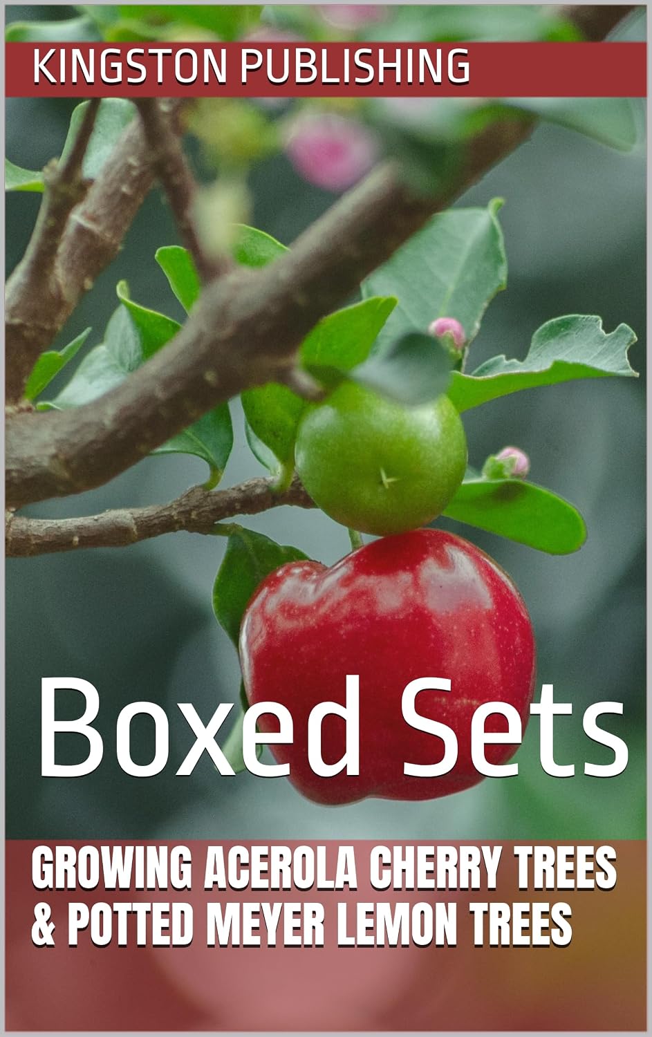 capítulo por capítulo baixar Growing Acerola Cherry Trees & Potted Meyer Lemon Trees: Boxed Sets (Fruit Gardening) (English Edition)