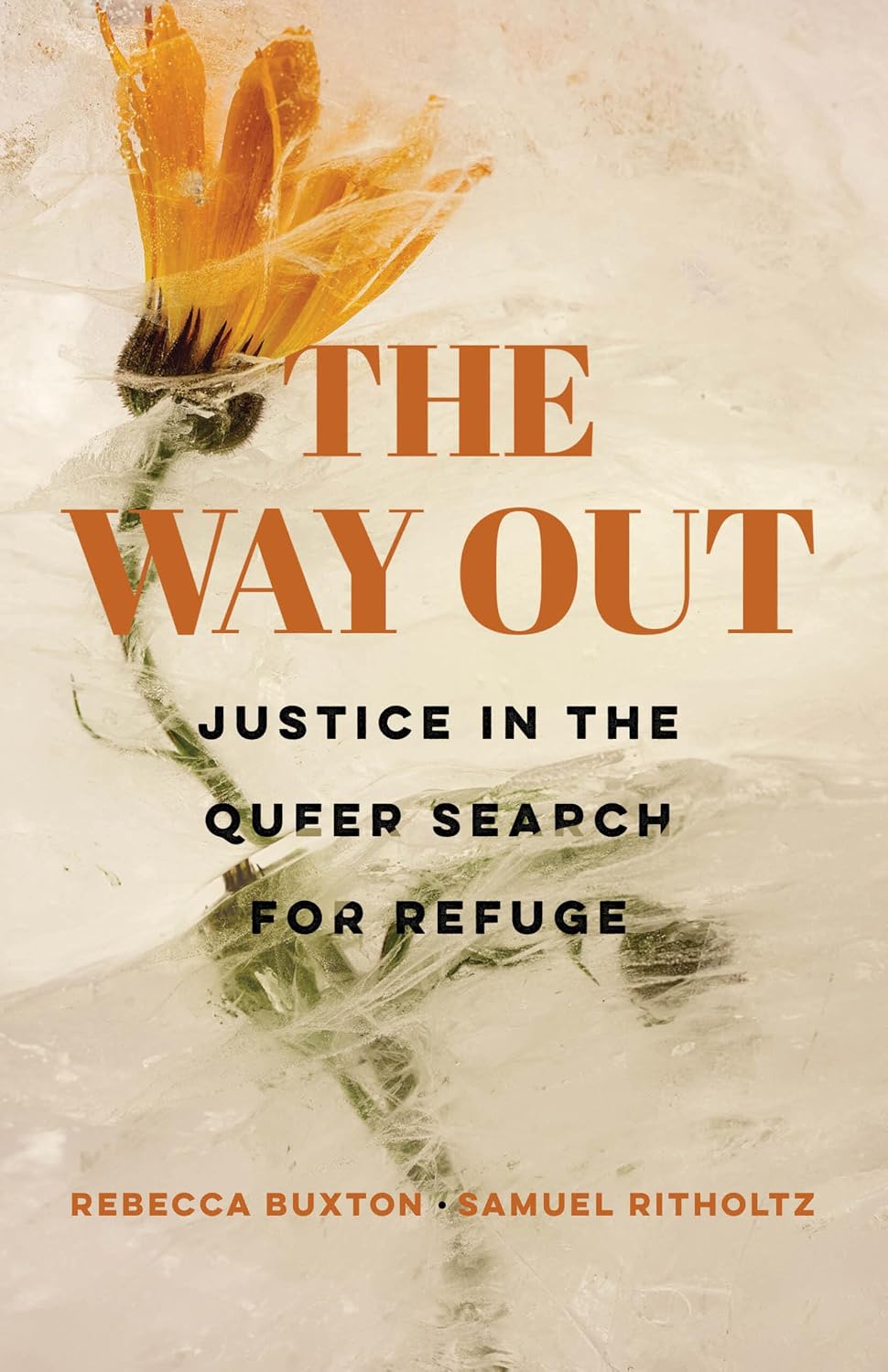 The Way Out: Justice in the Queer Search for Refuge (English Edition)