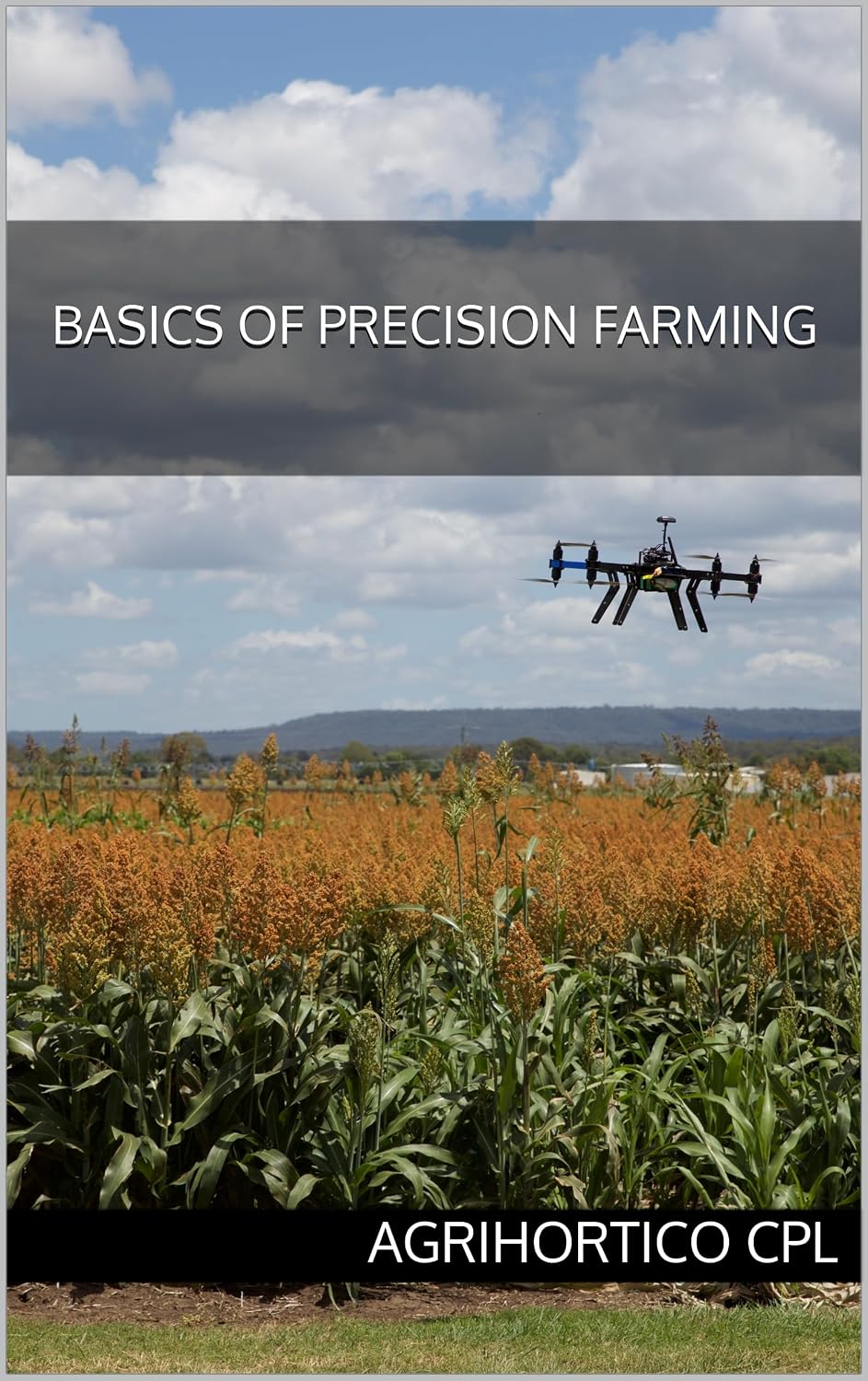 Basics of Precision Farming (Food & Agriculture (General) Book 11) (English Edition) baixar o livro de graça