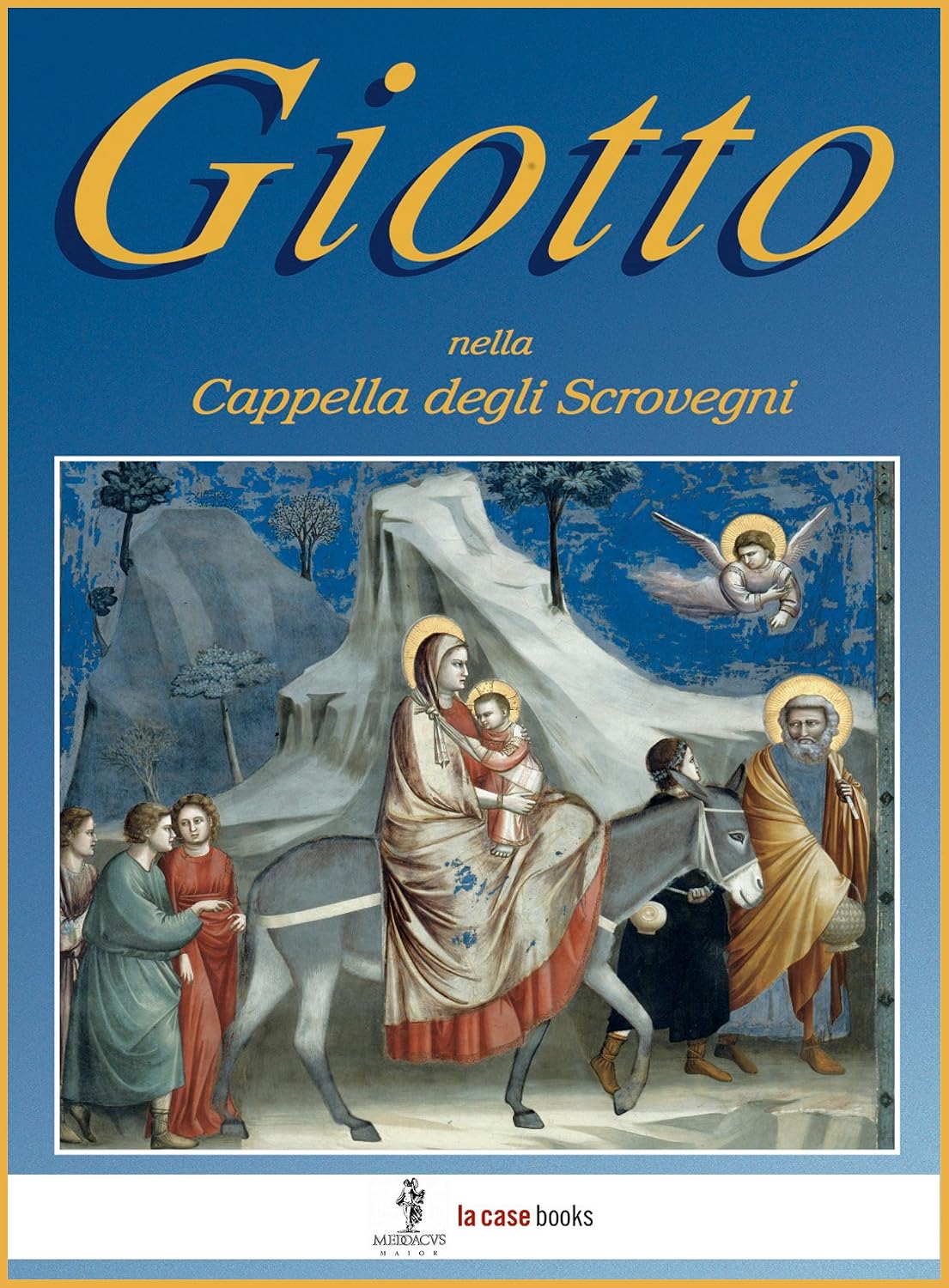 ler totalmente Giotto nella Cappella degli Scrovegni (Italy Vol. 19) (Italian Edition)