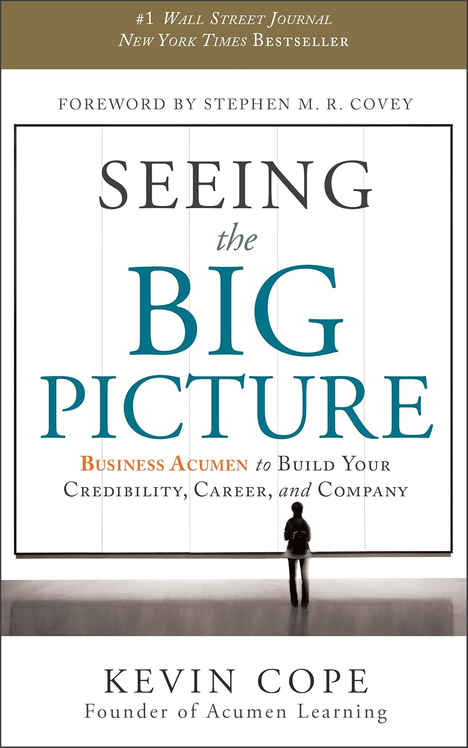 Seeing the Big Picture: Business Acumen to Build Your Credibility, Career, and Company (English Edition) baixar livro de graça