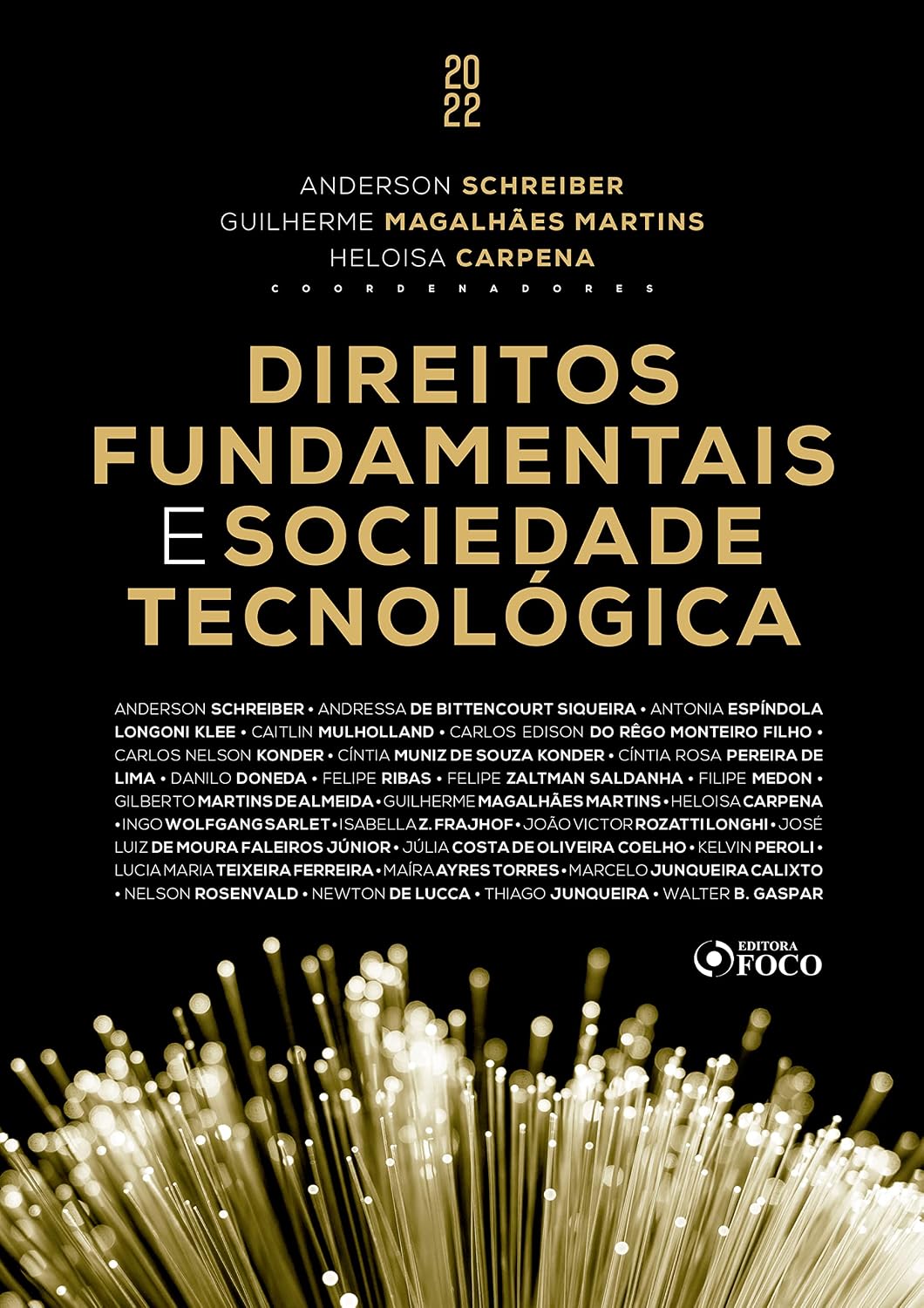 capítulo por capítulo baixar Direitos fundamentais e sociedade tecnológica