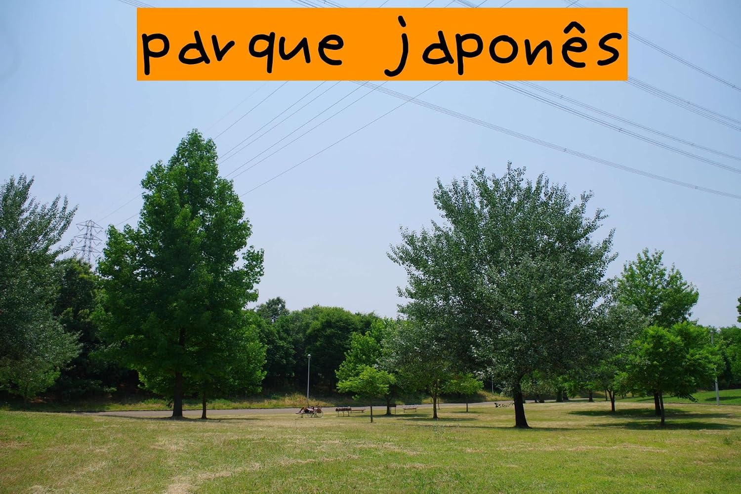 capítulo por capítulo baixar parque japonês