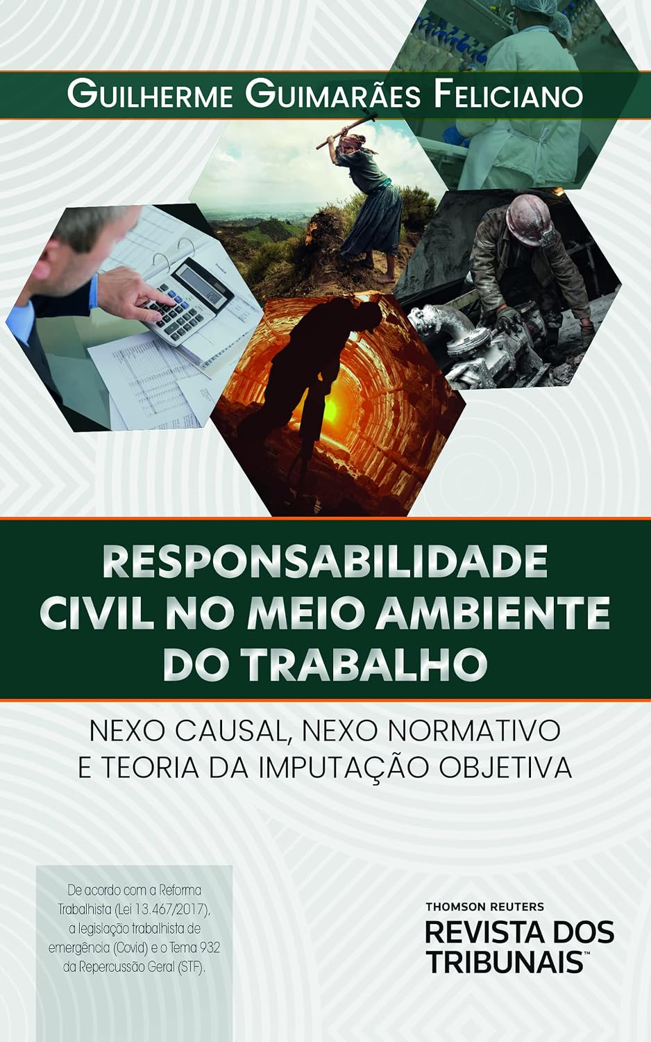 Responsabilidade Civil no Meio Ambiente do Trabalho baixar o livro de graça
