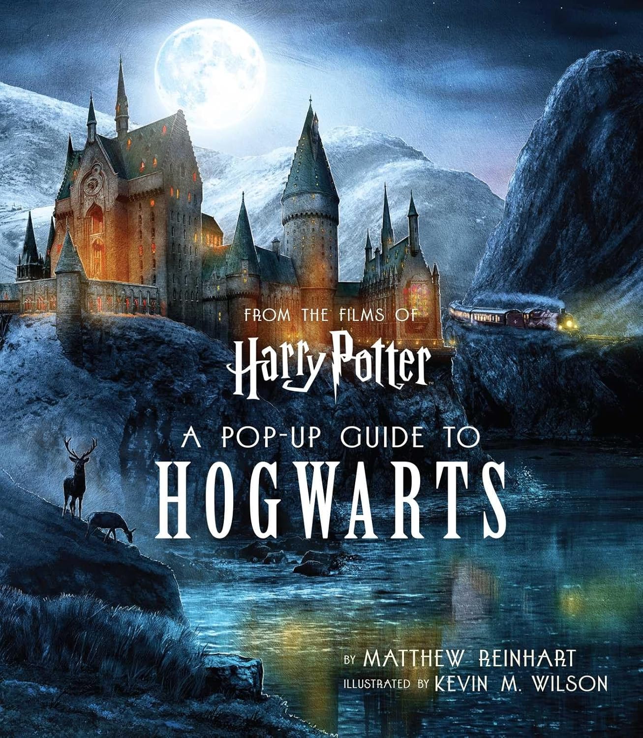 Harry Potter: A Pop-Up Guide to Hogwarts baixar o livro de graça