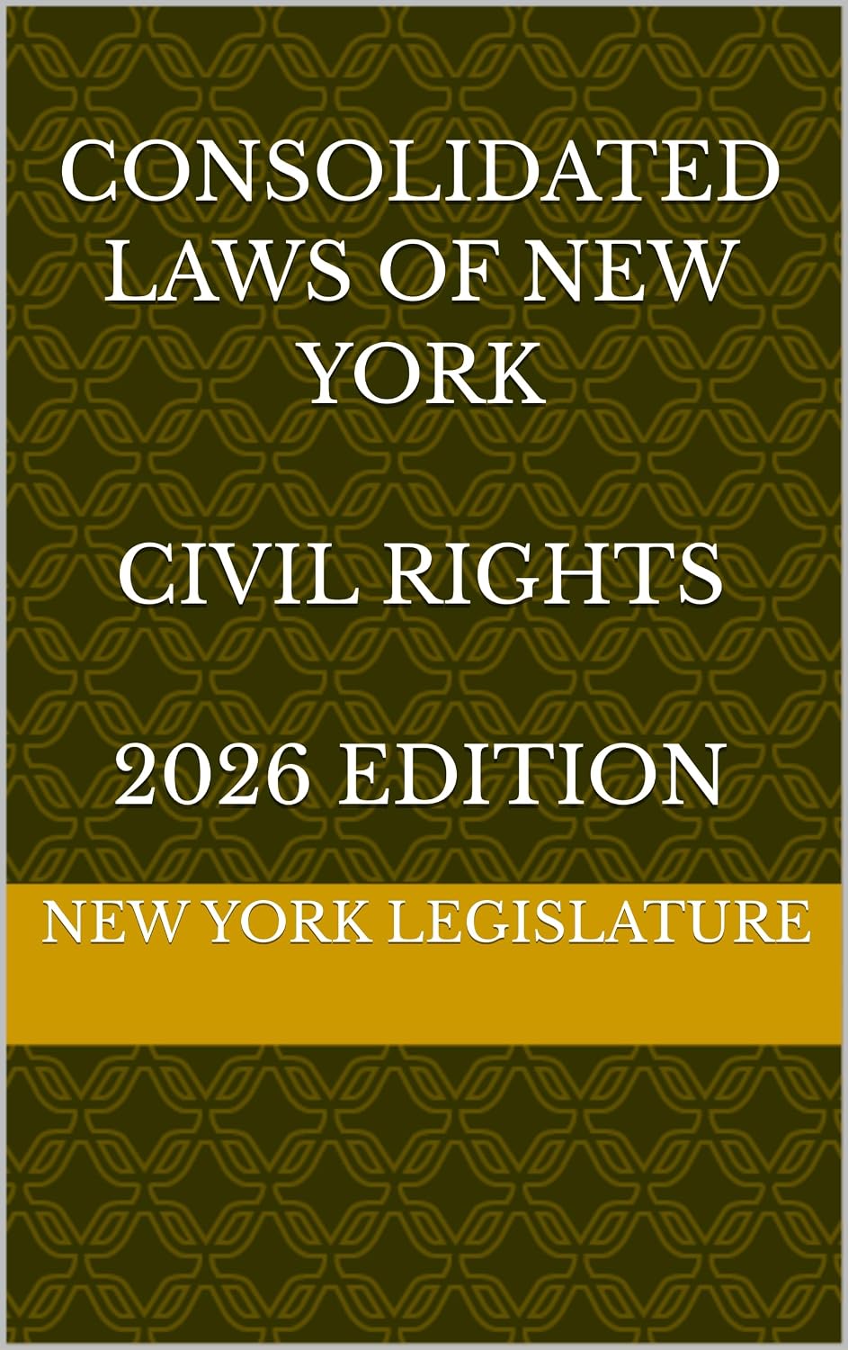 CONSOLIDATED LAWS OF NEW YORK CIVIL RIGHTS 2026 EDITION (English Edition) baixar o livro de graça