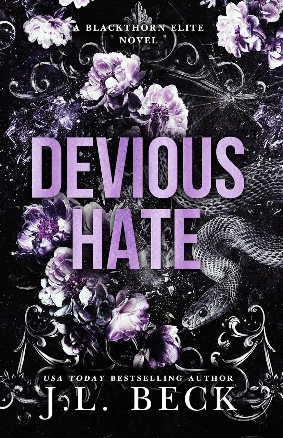 Devious Hate: A Dark Bully Romance: 1 baixar o livro de graça