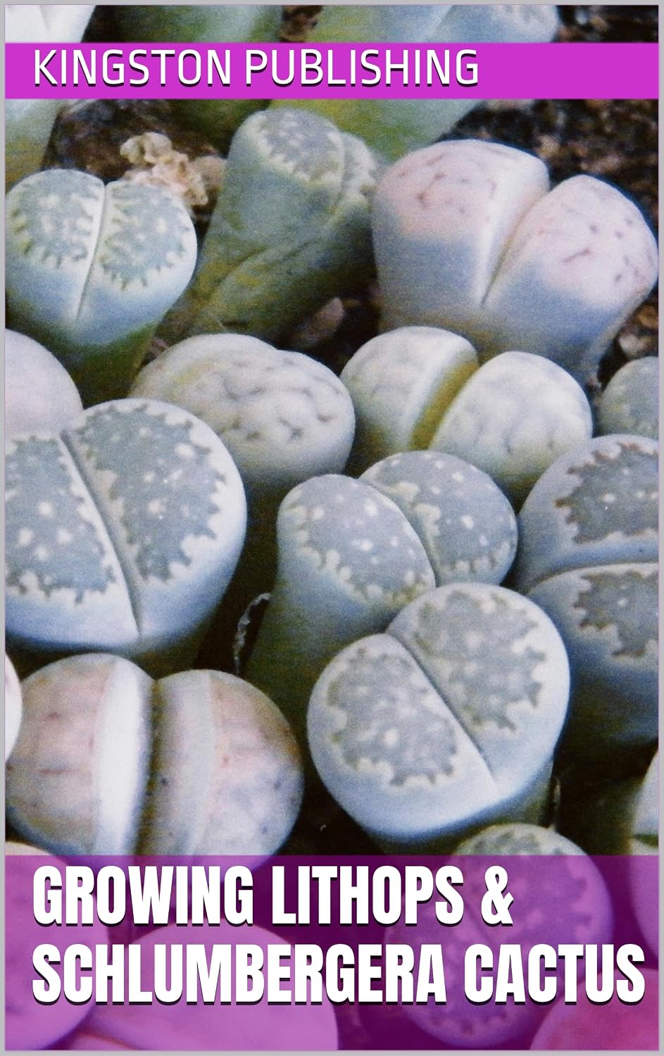 Growing Lithops & Schlumbergera Cactus (City Gardening) (English Edition)