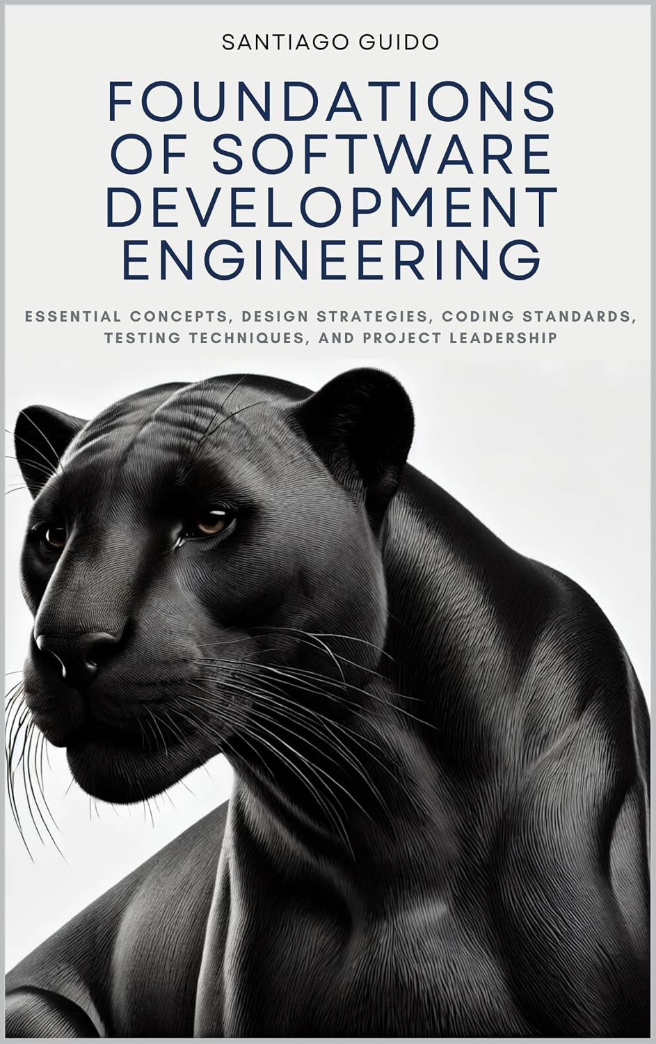 Foundations of Software Development Engineering: Essential Concepts, Design Strategies, Coding Standards, Testing Techniques, and Project Leadership (English Edition) baixar livro de graça