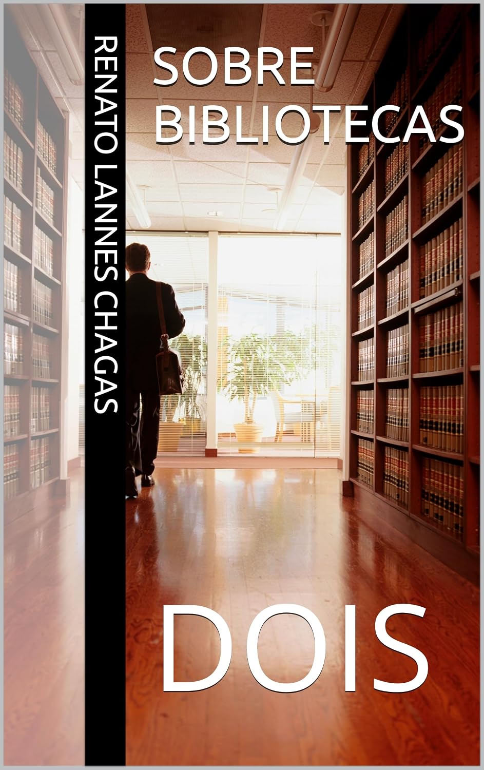 SOBRE BIBLIOTECAS: DOIS baixar o livro de graça