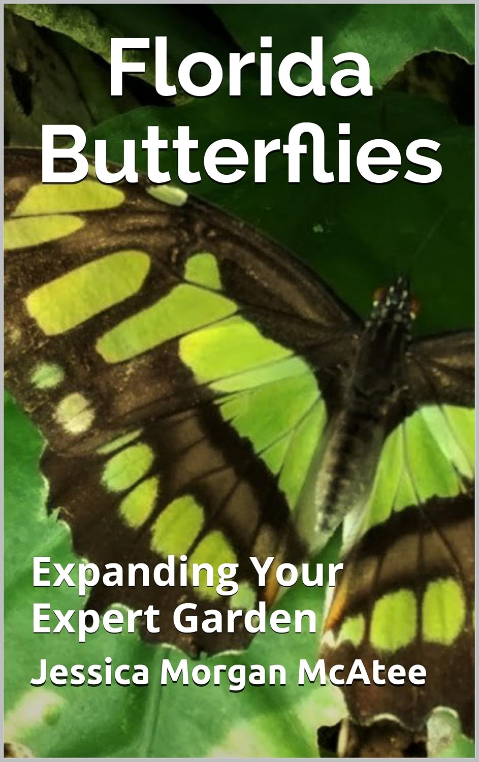 ler totalmente Florida Butterflies: Expanding Your Expert Garden (English Edition)
