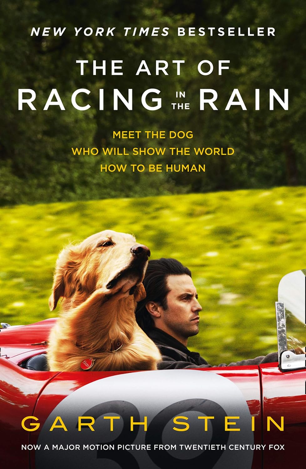 The Art of Racing in the Rain: A Moving Adult Fiction Story of Loyalty and the Bond Between Man and Dog (English Edition) baixar livro de graça