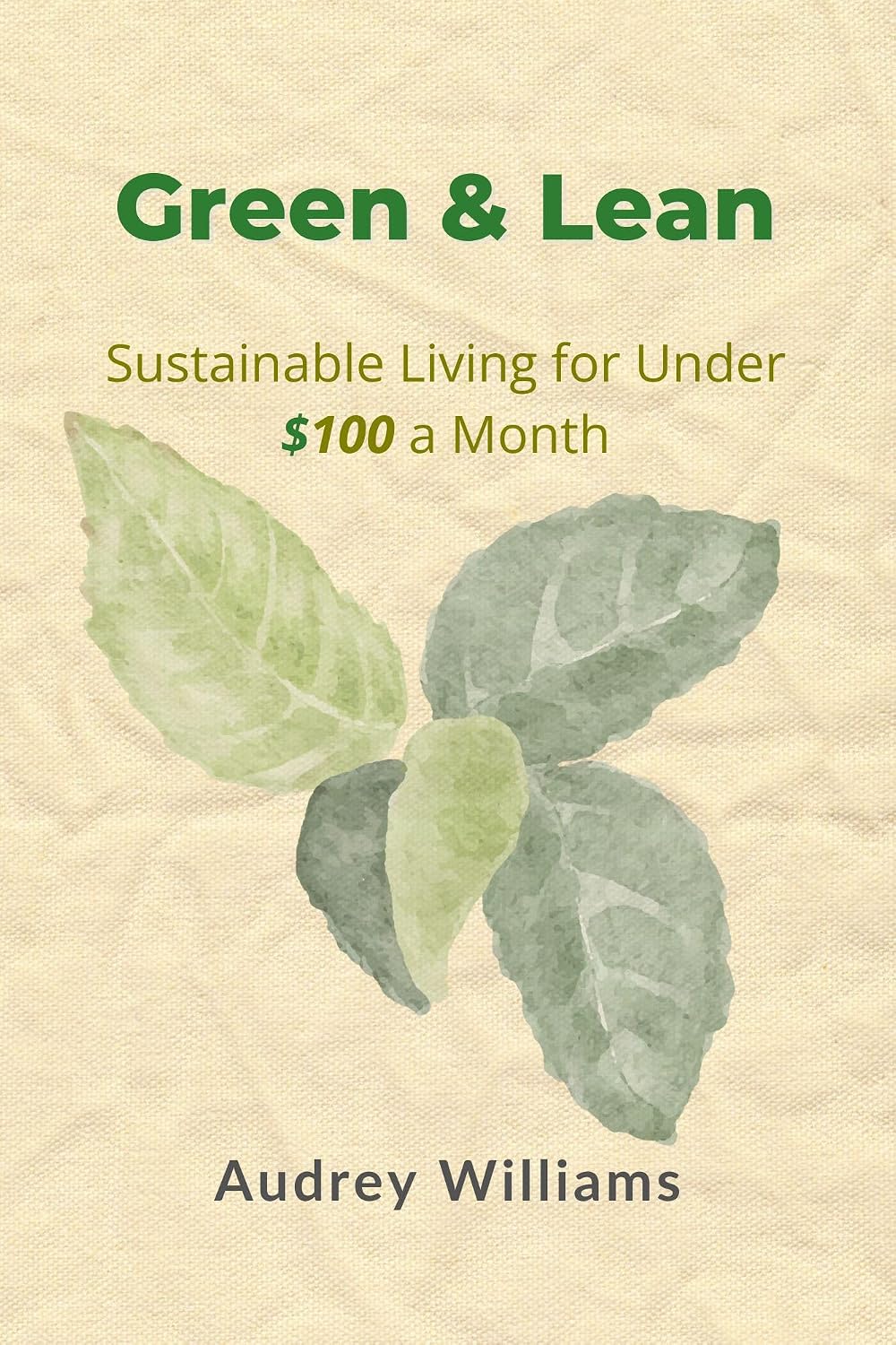 Green & Lean: Sustainable Living for Under $100 a Month (English Edition) baixar livro de graça