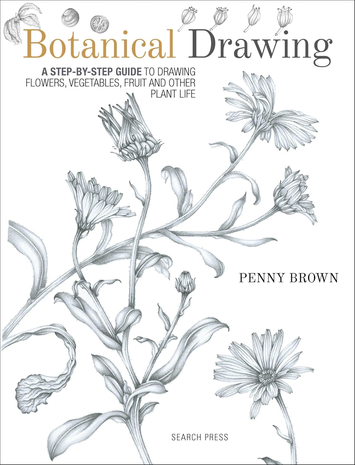 ler totalmente Botanical Drawing: A Step-By-Step Guide to Drawing Flowers, Vegetables, Fruit and Other Plant Life (English Edition)