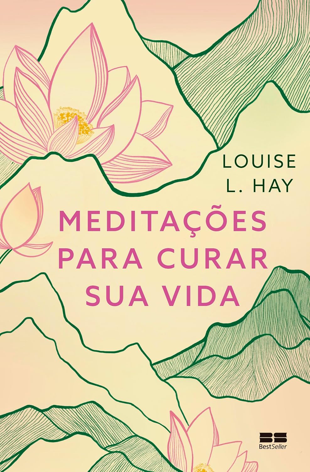 Meditações para curar sua vida baixar o livro de graça