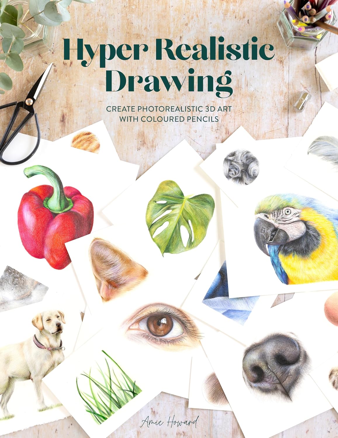 Hyper Realistic Drawing: How to Create Photorealistic 3D Art with Coloured Pencils baixar livro de graça