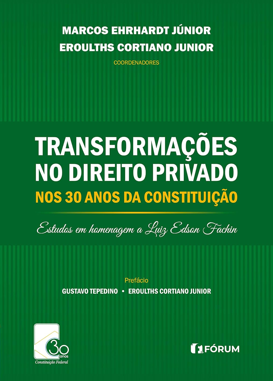 Transformações no direito privado nos 30 anos da constituição: estudos em homenagem a Luiz Edson Fachin baixar o livro de graça