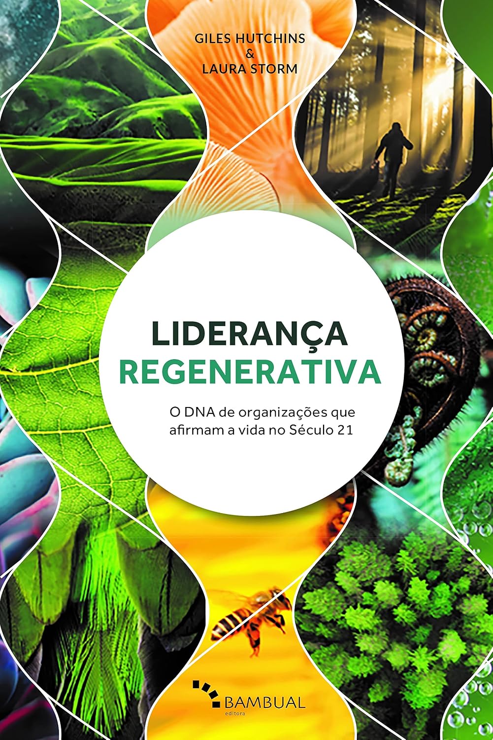 Liderança Regenerativa baixar o livro de graça