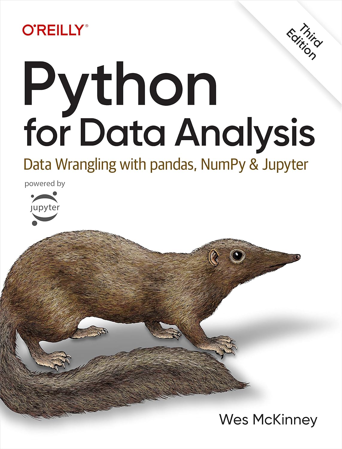 Python for Data Analysis: Data Wrangling with pandas, NumPy, and Jupyter (English Edition)