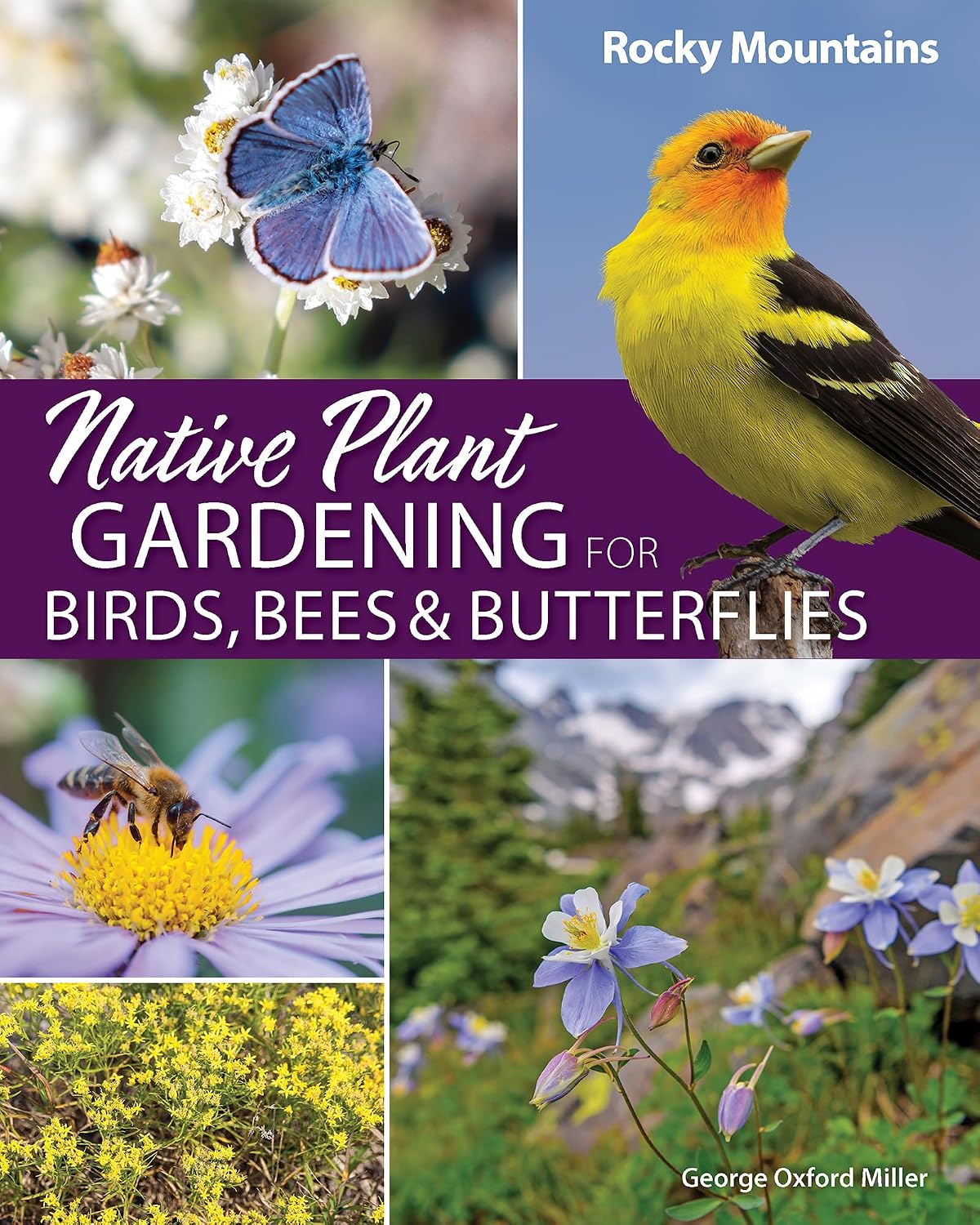 capítulo por capítulo baixar Native Plant Gardening for Birds, Bees & Butterflies: Rocky Mountains (Nature-Friendly Gardens) (English Edition)