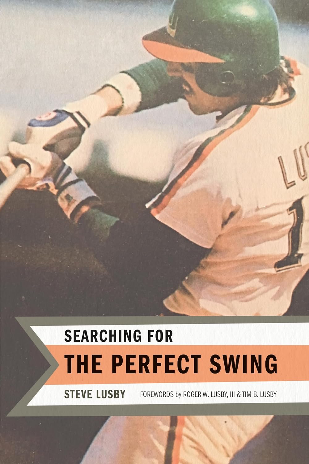 ler totalmente Searching for the Perfect Swing (English Edition)