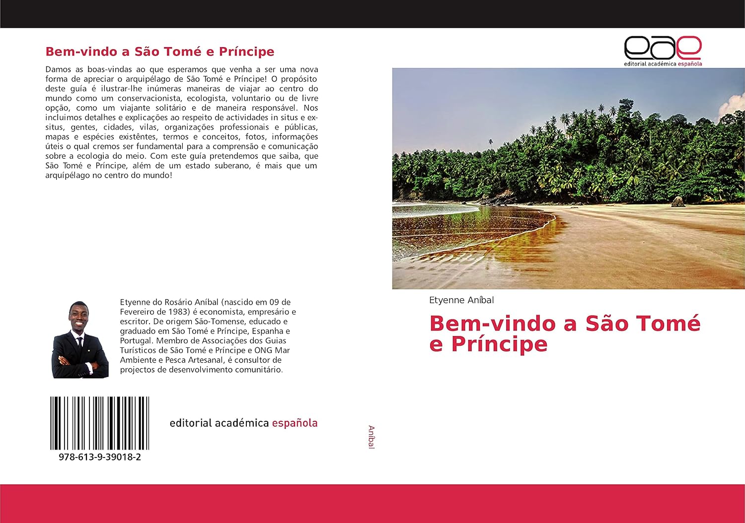 Bem-vindo a São Tomé e Príncipe baixar o livro de graça