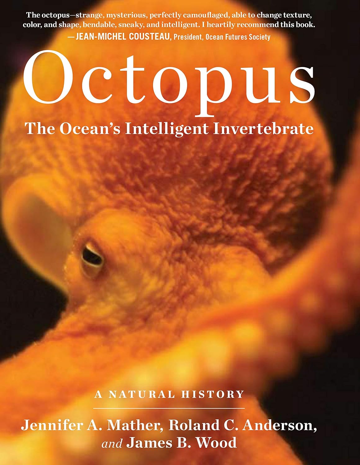 capítulo por capítulo baixar Octopus: The Ocean's Intelligent Invertebrate