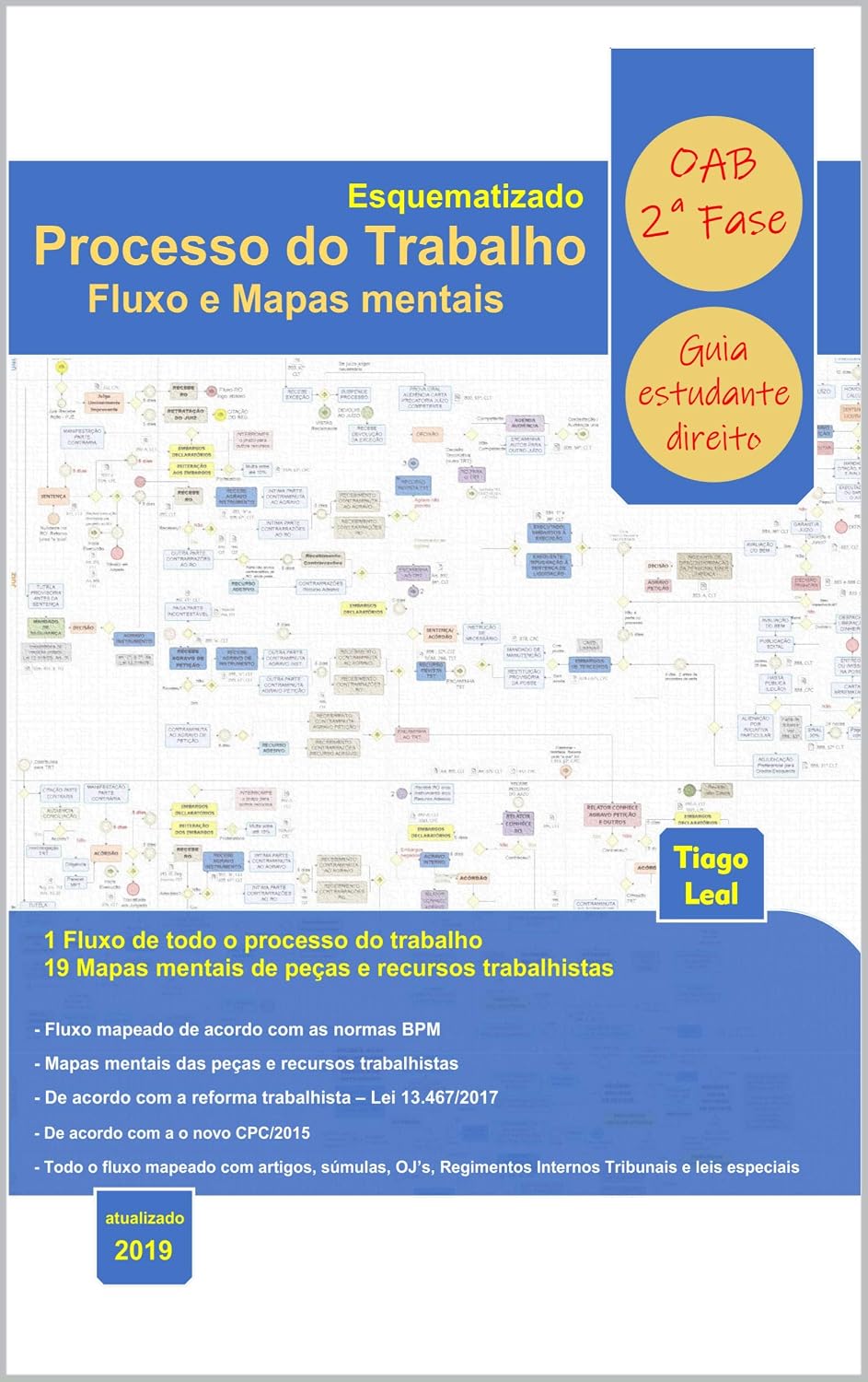 PROCESSO DO TRABALHO ESQUEMATIZADO - FLUXO E MAPAS MENTAIS baixar livro de graça