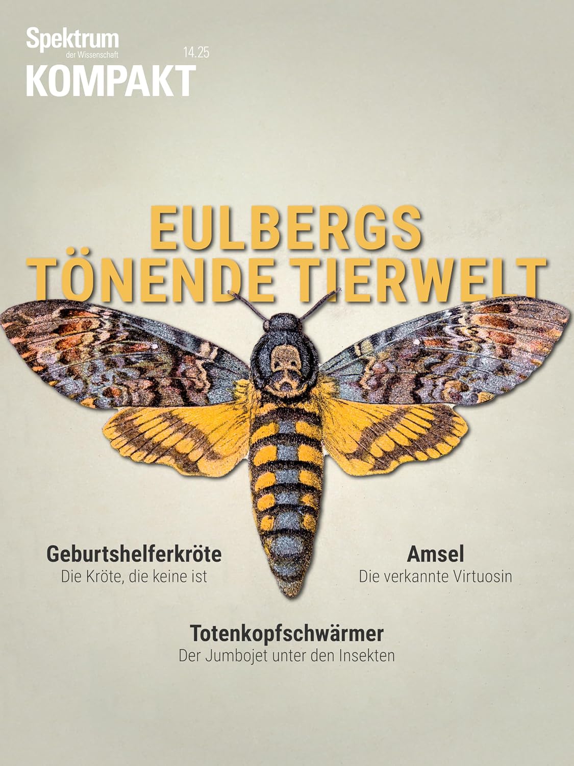 ler totalmente Spektrum Kompakt - Eulbergs tönende Tierwelt (German Edition)