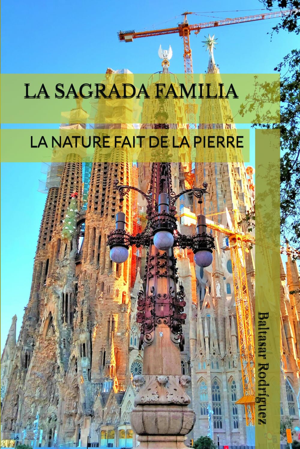 ler totalmente La Sagrada Familia: La Nature Fait de la Pierre