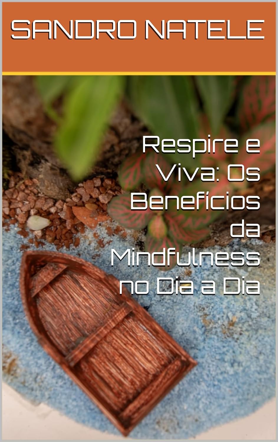 capítulo por capítulo baixar Respire e Viva: Os Benefícios da Mindfulness no Dia a Dia (Mente Saudável: Como Fortalecer Seus Pensamentos e Emocões no Dia a Dia)