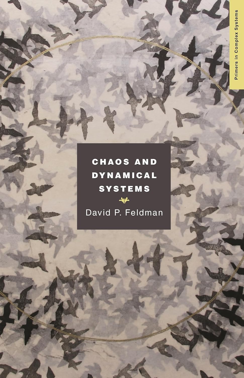 Chaos and Dynamical Systems: 7 baixar o livro de graça