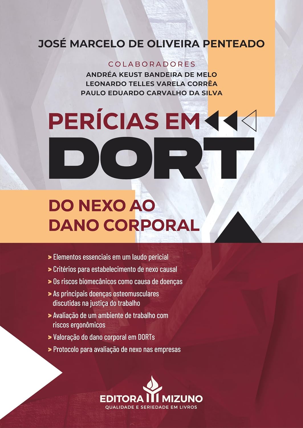 Perícias em DORT do Nexo ao Dano Corporal baixar livro de graça